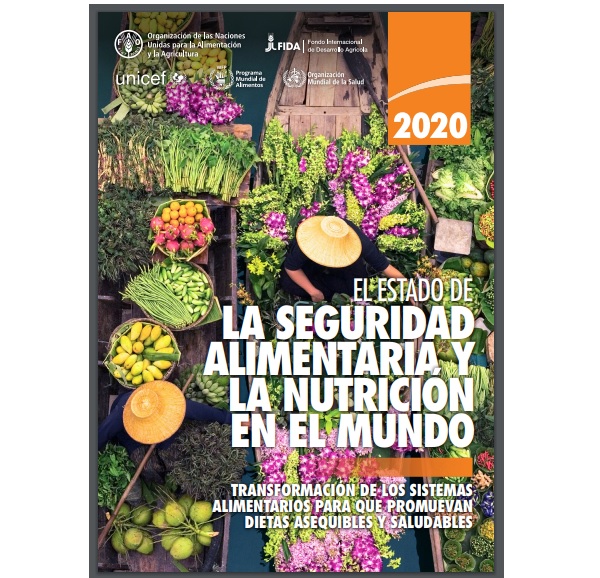 DOCUMENTO "EL ESTADO DE LA SEGURIDAD ALIMENTARIA Y LA NUTRICIÓN EN EL ...